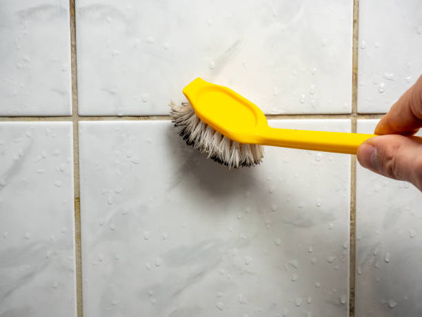 Best Basement Mold Remediation in Leisure Village West, NJ