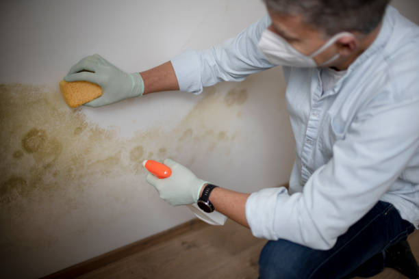 Best Mold Remediation for Schools in Leisure Village West, NJ
